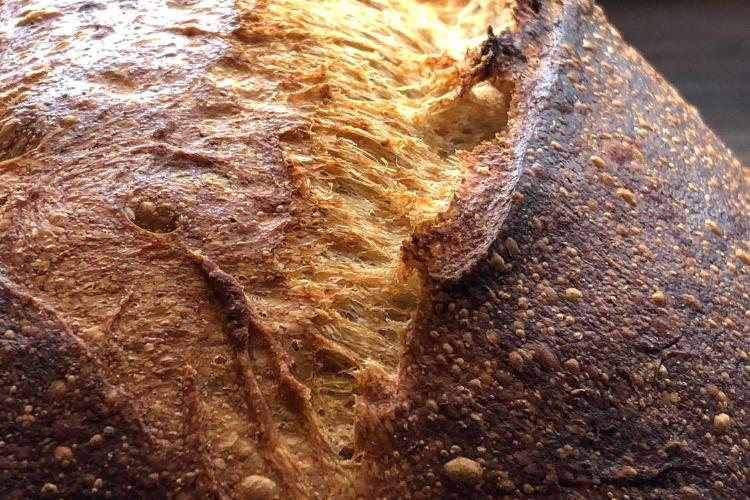 The Popular 10 of Ancient Egyptian Food: Bread
