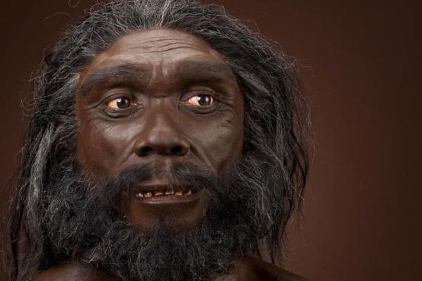 7. Homo Heidelbergensis