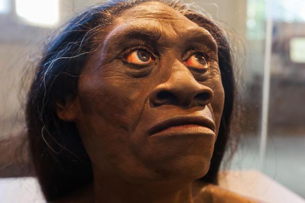 4. Homo Floresiensis